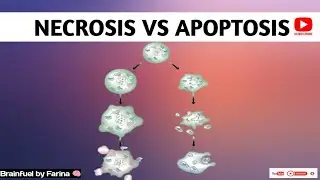 Necrosis and Apoptosis in Hindi | made easy | Brainfuel by Farina 