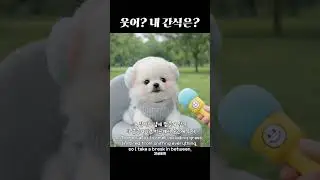 이런게 열정페이인가? #dog #cute #pets