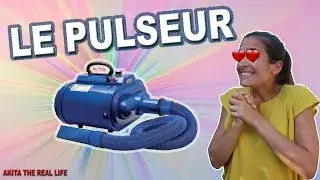 LE PULSEUR INDISPENSABLE AVEC UN AKITA ?!