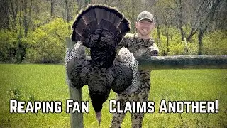 REAPING FAN SUCCESS WHILE LEAVING THE FIELD! | Opening Day KY Spring Turkey Season Harvest! - ABO