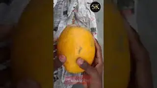 papita kaise pakaye. how to ripe papaya with newspaper. #fruit #papaya #papita #shorts