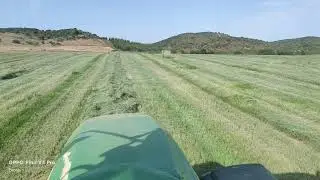 Teff Grass Big Round Baler.