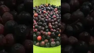 summers mouth watering drink 🤤#share #like #subscribetomychannel