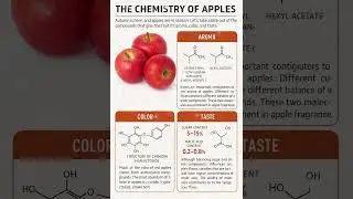 The chemistry of 🍎 apple #edusei #facts #chemistry #ai #science #education