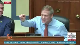 Dr  Redfield's Bombshell Testimony Corona virus cover up