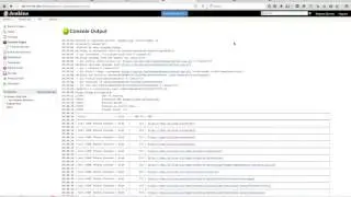 Docker-ZAP-CLI in Jenkins
