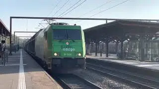 DB -Green CARGO cargo train at Kolding Station. Br 5404.