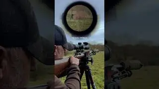 .17 HMR Ballistic Test On Clay Rabbit At 100 Yards / 91 Metres | 17HMR Pure Sound