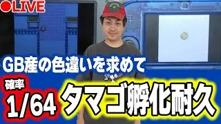 【ポケモン金銀VC】ヒトカゲとワニノコの色違いを同時に狙いつつタイプヌルのいろちも欲張っちゃう【色違い厳選】