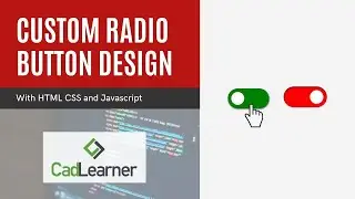 Custom Radio Button Tutorial | HTML CSS JS