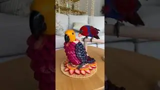 When your fruit carving gets side-eyed by a real parrot! 🦜🍉 #FruitArtGoals #ParrotApproved