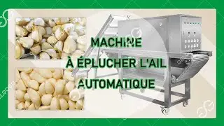 MACHINE &Agrave; &Eacute;PLUCHER L'AIL - MACHINE POUR PELER L'AIL