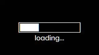Loading pro