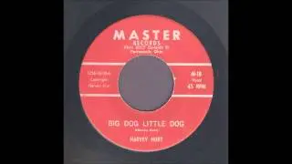 Harvey Hurt - Big Dog Little Dog - Rockabilly 45