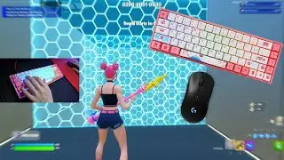 Akko 3068 v2 Tokyo Fortnite Smooth Keyboard Sounds 240FPS