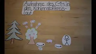 C-14-Methode - Explainity // Radiokarbonmethode, Radiokohlenstoffmethode, Altersbestimmung mit C-14