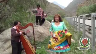 FLOR DOMAINA 2019 - ZORRO  MALLHUANU