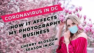 How Coronavirus Affects My Photography Business during Cherry Blossom Season in DC