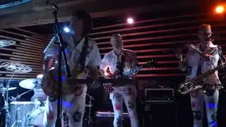 Mega Cat - KRA1 (Live 1/2/2026)