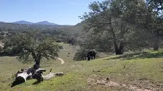 Hiking Santa Ysabel ⛰