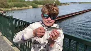 Viskunde op haring-Brouwersdam
