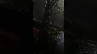 Heavy Power Rain Sounds  Sleep Fast, Calm Mind, ASMR | Soft Flow #rain #asmr