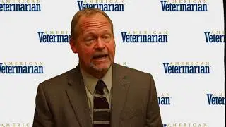 Veterinary Orthopedics: New and Exciting Advancements