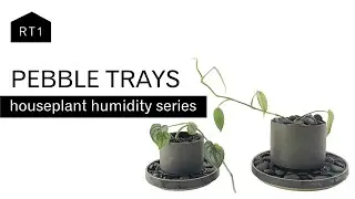 PEBBLE TRAYS: AN ATTRACTIVE METHOD TO INCREASE HUMIDITY