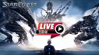 25.02.17(월) 【 인피쉰 생방송 다시보기 】 스타 빨무 스타크래프트 Starcraft