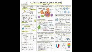 📚 Class 10 Science All Chapters One Page Notes ✍️🔥 | New NCERT | #Shorts #BoardExam #viral #quick