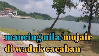 luarrr biasa...!! mancing nila di waduk cacaban hasilnya di luar dugaan mantap
