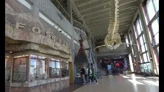 Inside a place-based school: Public Museum School