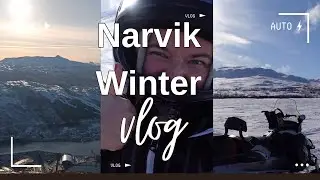 Narvik Winter Vlog