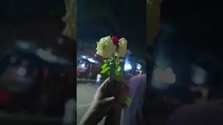 These roses were gifted by him ❤️।। Symbol of love।। #rose #flowers #love #shorts #fyp #foryou