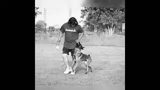 competition heeling practice