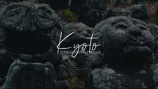 CINEMATIC TRAVEL VLOG: Japan - Otagi Nenbutsuji Kyoto