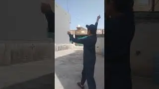 kite flying on rooftop