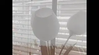 Rodney's ArtMusic Volume 13 (2024 ''LIVE'' GUITARSPLAT)