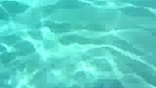 Inshore Lizard fish