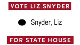 Vote Liz Snyder for State House