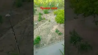 кто ждал лето с того луйк #edit