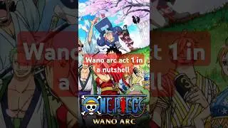 One piece Wano arc act 1 in a nutshell