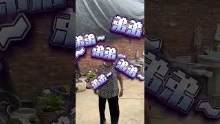 生活应该是美好又温柔的，天天早上弟弟弟弟弟弟#狗是人类最忠诚的朋友 #弟弟是好狗