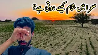 Sehra Mein Shaam Kaise Dhalti Hai? | Real View