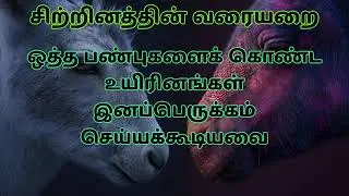 Concept of Species in Tamil | Free Foundation Class Day 9 | RJ Aura Classes