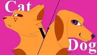 🐟 Cat Vs. Dog 🦴 | Anything K9 and feline | Part 1