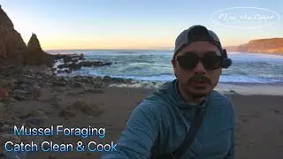 Foraging Wild Mussels | Catch Clean Cook on the Northern California Coast #bayarea #mussels #forage