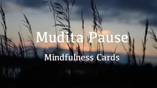 Mudita Pause - Mindfulness Cards (Air)