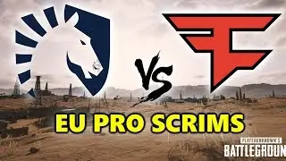 Team Liquid против FaZe Clan - Европейские профессиональные тренировочные матчи - PUBG