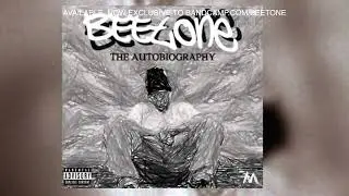 BeeTone - Project B (Ft. LR & Kaveman) | 2018 #youtubemusic